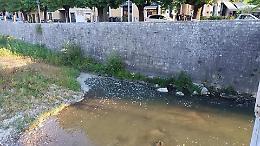 Nel fiume Liri torna la schiuma bianca