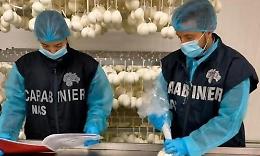 Pessime condizioni igieniche. Caseificio chiuso e sanzione da 1.000 euro