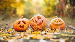 Halloween: -20% di zucche italiane per il clima pazzo