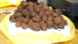 Percorsi enogastronomici, dimostrazioni e musica. Festa per sua maestà il tartufo