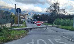 Alberi caduti a causa del forte vento. A terra anche un palo. Vigili del fuoco al lavoro
