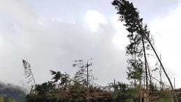 Ancora forti raffiche di vento. Nuova allerta meteo