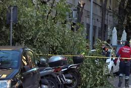 Morte di Teresa Veglianti, l'albero doveva essere abbattuto