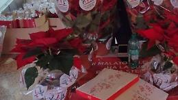 Ail, la solidarietà in piazza con le Stelle di Natale