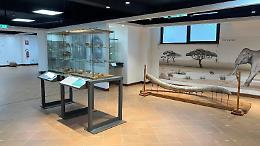 Il museo archeologico e il valore del territorio