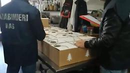 Controlli del Nas sui prodotti dolciari, chiusa una pasticceria per gravi carenze igieniche