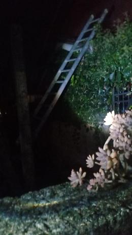 Bande in azione: torna l'incubo. E scatta la petizione