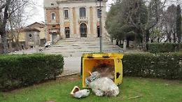 Nuovi atti vandalici in pieno centro. È polemica