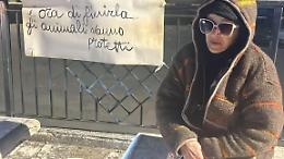 Le investono sei gatti e le avvelenano i cani. La protesta della signora Tiziana Monti