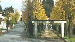 Furti di vasi e fiori nel cimitero. Rabbia e sdegno dei visitatori
