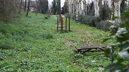 Verde pubblico, abbandono e degrado. E li chiamano parchi