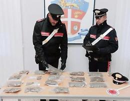 In bicicletta con due chili di marijuana nelle buste della spesa. Arrestato trentaseienne