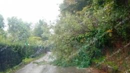 In arrivo forti raffiche di vento. Allerta gialla nel Lazio 