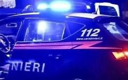 Tagliano il recinto e provano a rubare. Ladri messi in fuga
