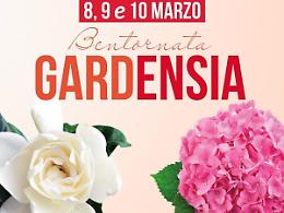 Un fiore contro la sclerosi multipla. Nelle piazze della Ciociaria torna Gardensia