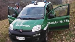 Bastona un cane e lo lascia in fin di vita