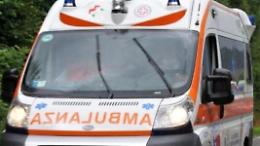 Cade da un albero durante un intervento di potatura, grave un pensionato