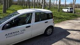 Due cani uccisi brutalmente e abbandonati nelle campagne