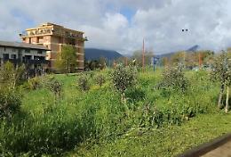 Mercato coperto, il fronte del no scende in piazza