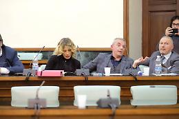 Provincia, Forza Italia all'attacco: immobilismo politico e amministrativo totale