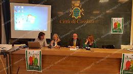 Sessualità e affettività nei giovani: un convegno in Comune con l'assessore Palombo