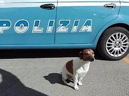 Controlli antidroga della Polizia su tutto il territorio