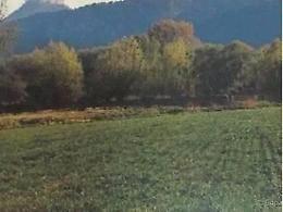 Campi coltivati sui veleni: verdure e ortaggi tra acque rosse, salute a forte rischio