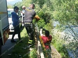 Cucciolata gettata nella zona del lungofiume, intervengono i Vigili del Fuoco