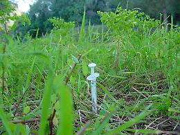 Siringhe sporche di sangue nei giardini: torna l'incubo eroina. Bambini a rischio