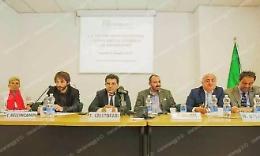 Elezioni comunali, una corsa che vale oro. Vi sveliamo quanto si spenderà