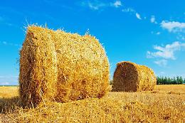 Muore schiacciato dalle balle di fieno: stava mettendo in ordine la sua rimessa agricola