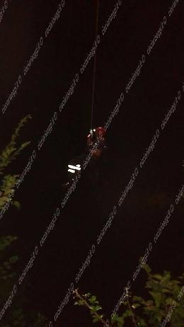 Cuccioli gettati nel fiume per sterminarli. Salvataggio eroico dei vigili del fuoco