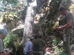 Trovata senza vita dai guardiaparco un'intera cucciolata di lupi nel territorio di Opi