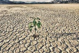 Allarme rosso: le riserve d'acqua vanno verso l'estinzione totale