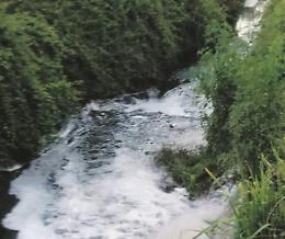 Una "bomba" ambientale: odori nauseabondi e schiuma bianca a ridosso del fiume