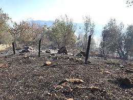 Incendio a Ferentino: vigili del fuoco e volontari al lavoro per domare le fiamme