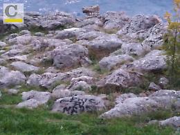 Scritte oltraggiose sull'Acropoli: denunciata banda di minorenni stranieri