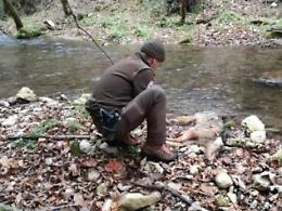 Investe cucciolo di lupo e fugge, dopo aver gettato la carcassa in un torrente