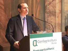ESCLUSIVO - Centrodestra in affanno: doppio "No" da Giansanti e Sangiuliano