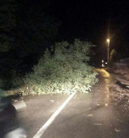 Il maltempo imperversa: alberi abbattuti sulle strade e disagi alla circolazione
