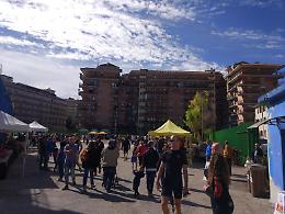 Parco Matusa, indetta la gara per il secondo step