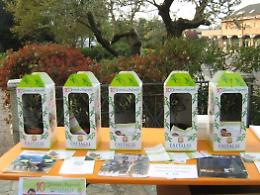 Oggi e domani l'Unitalsi in piazza per festeggiare 115 anni dalla fondazione