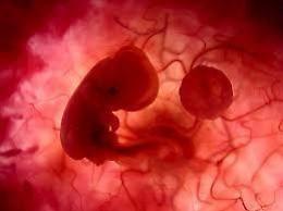 Sepoltura dei bambini mai nati: una questione delicata da risolvere