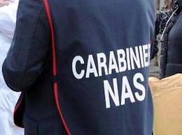 Allevamento sequestrato: animali vivi tra carcasse e letame