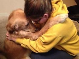 Una polpetta piena di viti per ammazzare un labrador usato per la pet therapy