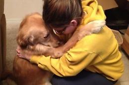 Investito e abbandonato, un altro cane agonizzante trovato in strada