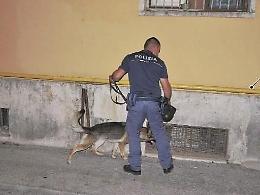Spaccio e nuovi nascondigli: ma ai cani anti droga non sfugge nulla