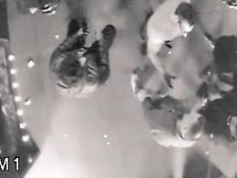 Estorsione sala giochi: presi 4 rom, neppure gli Spada di Ostia li hanno fermati