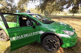 Emissioni in atmosfera: dopo i controlli, scatta la denuncia per un'azienda