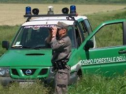 Smaltisce rifiuti vicino ad un torrente: nei guai imprenditore locale